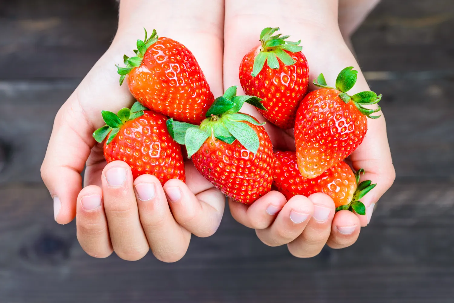 strawbs