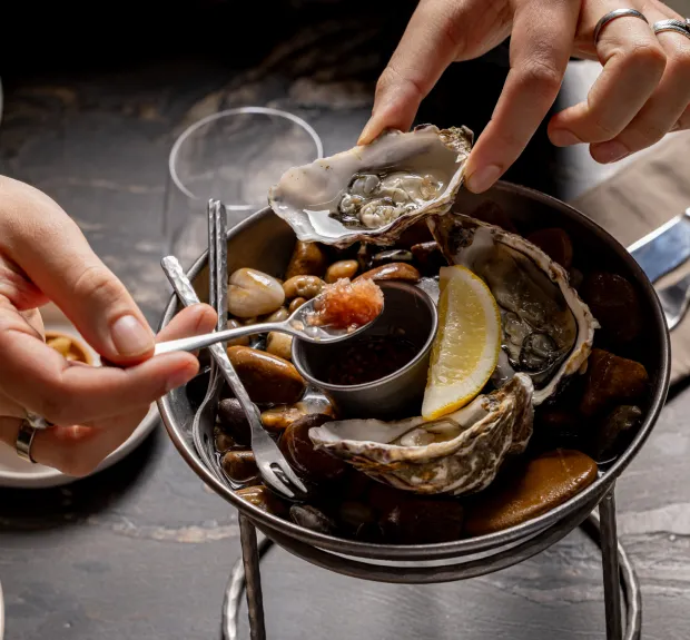 oyster