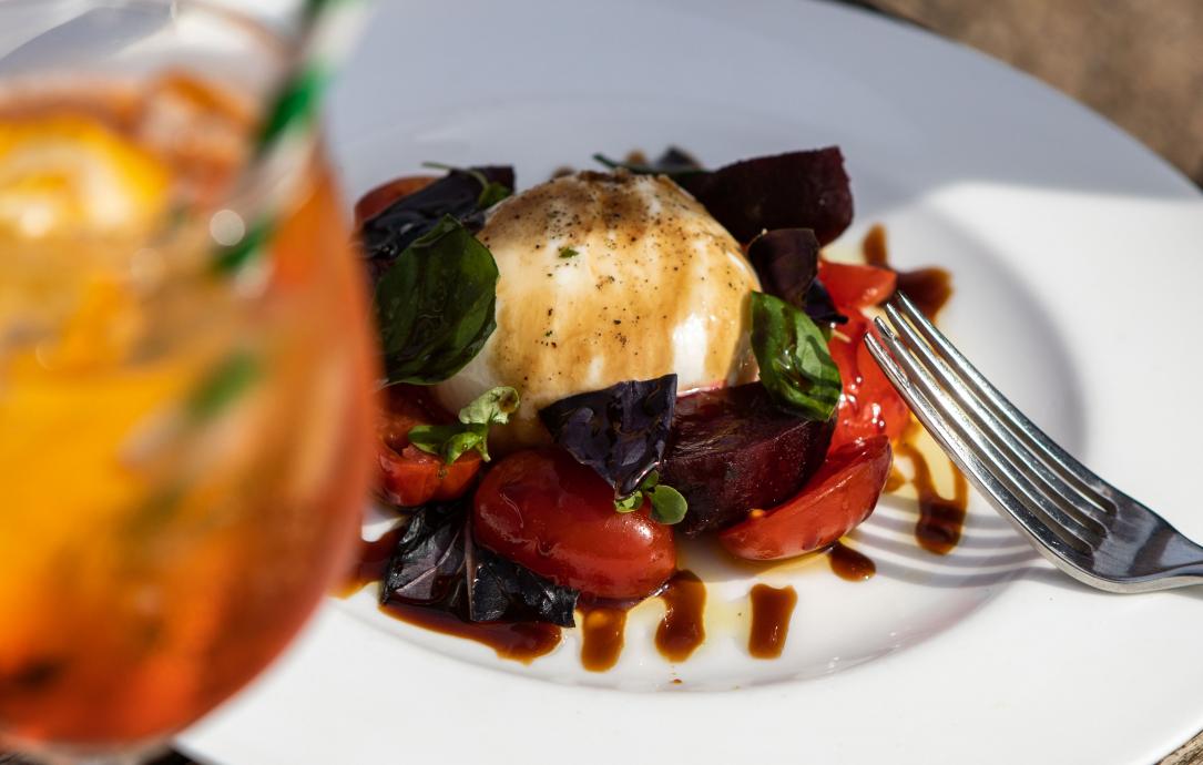 dish at chelsea physic garden