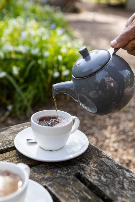 tea at chelsea physic garden