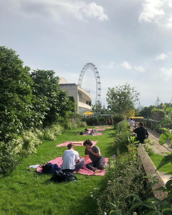 south bank centre garden
